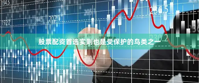 股票配资首选实则也是受保护的鸟类之一